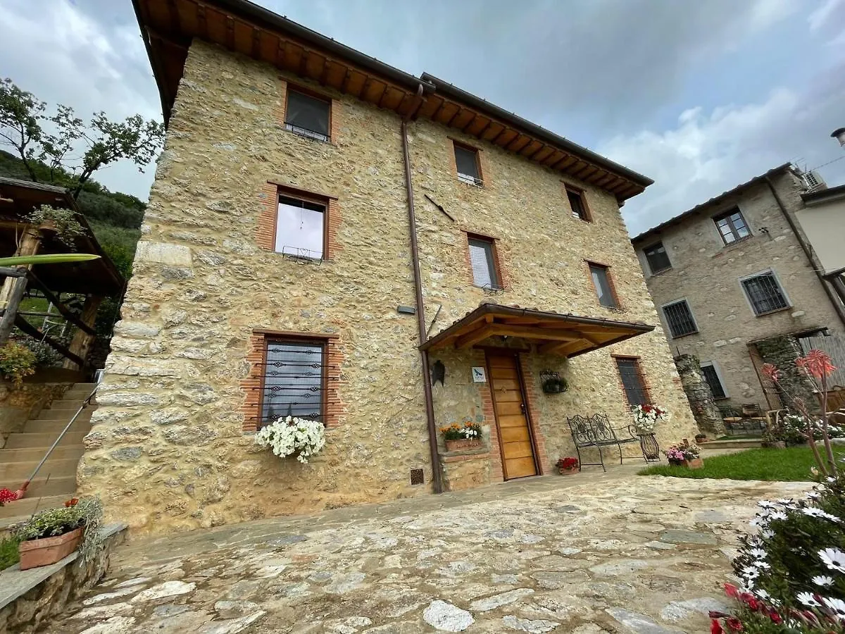 Frühstückspension B&B Il Volo Camaiore