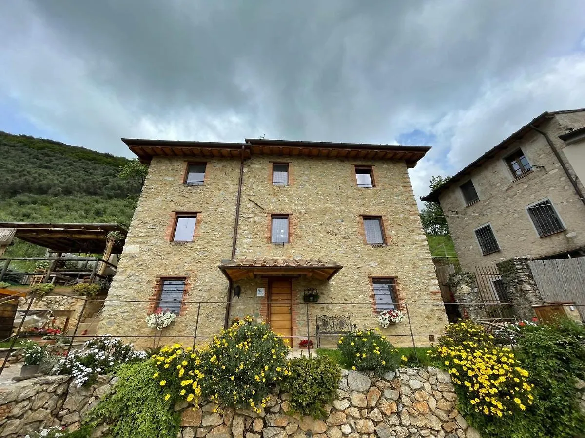 B&B Il Volo Camaiore Italy