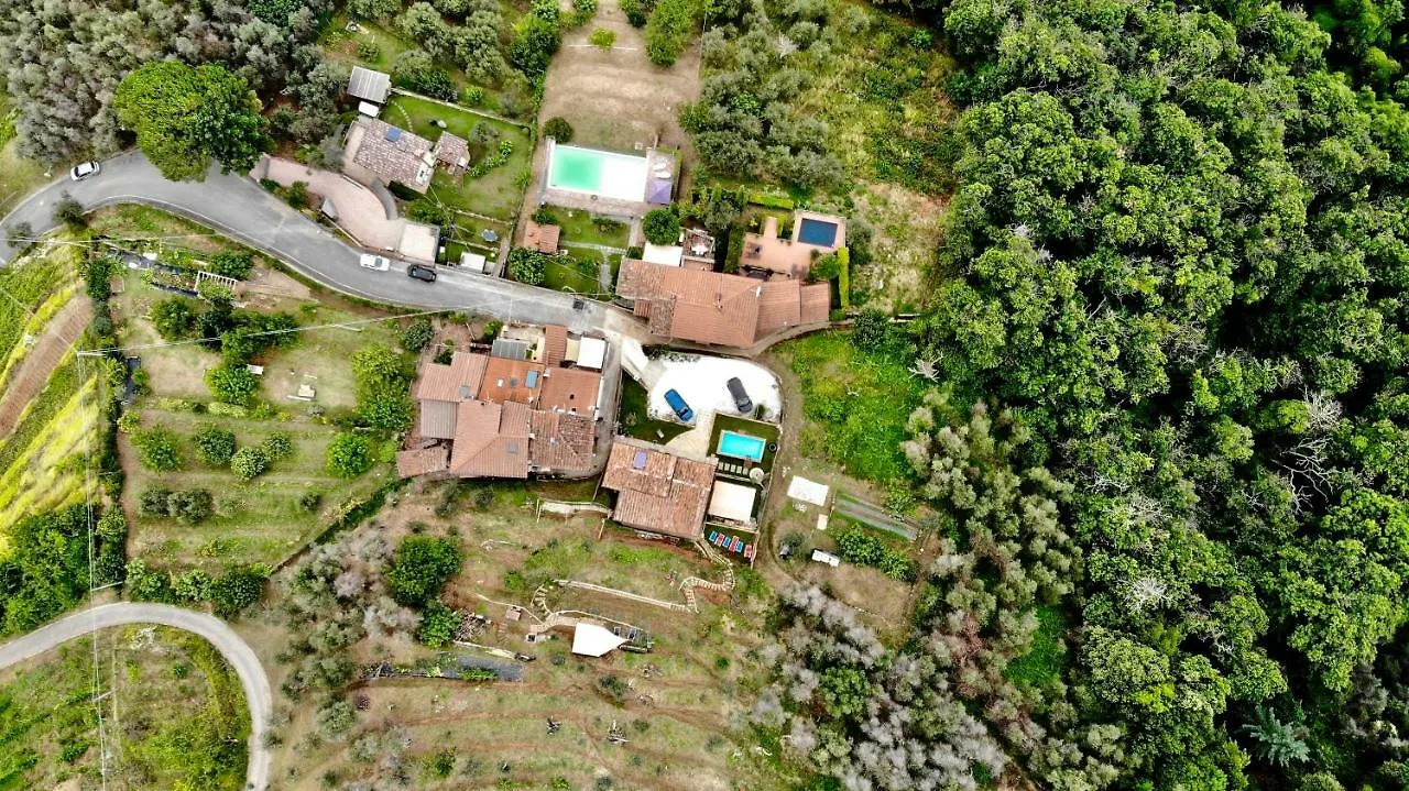 Bed & Breakfast B&B Il Volo Camaiore Italy