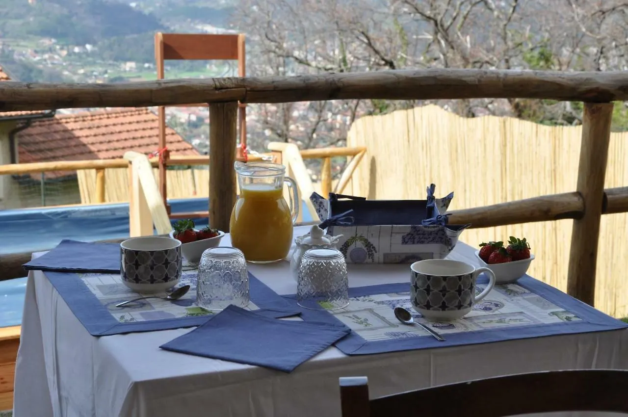 B&B Il Volo Camaiore 0*,  Italy